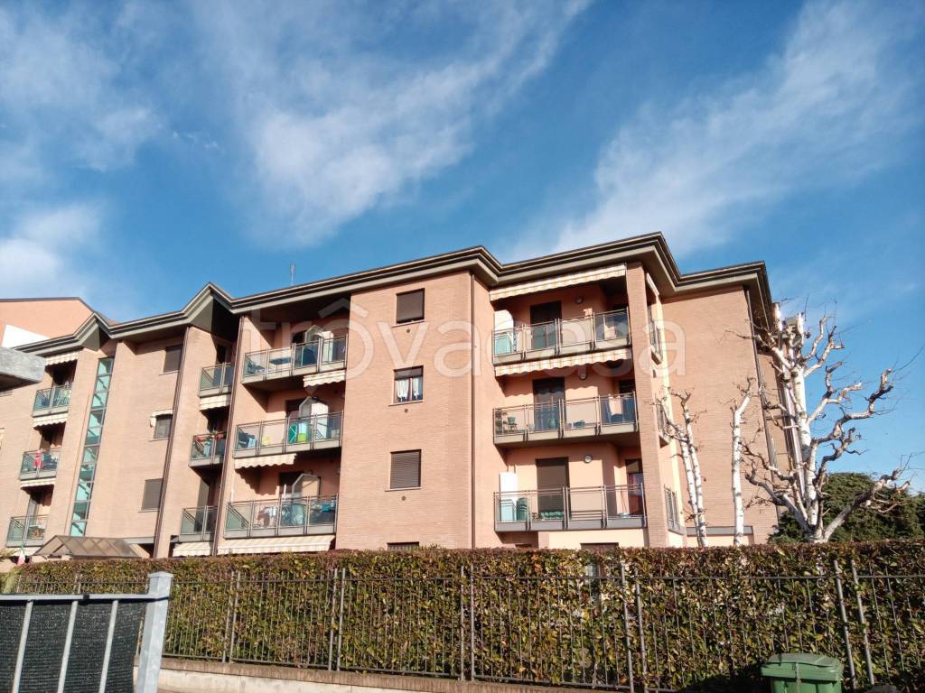 immagine annuncio 14 di 15