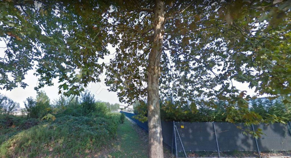 immagine annuncio 6 di 8