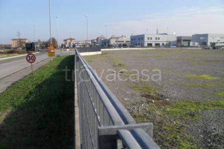 immagine annuncio 5 di 8