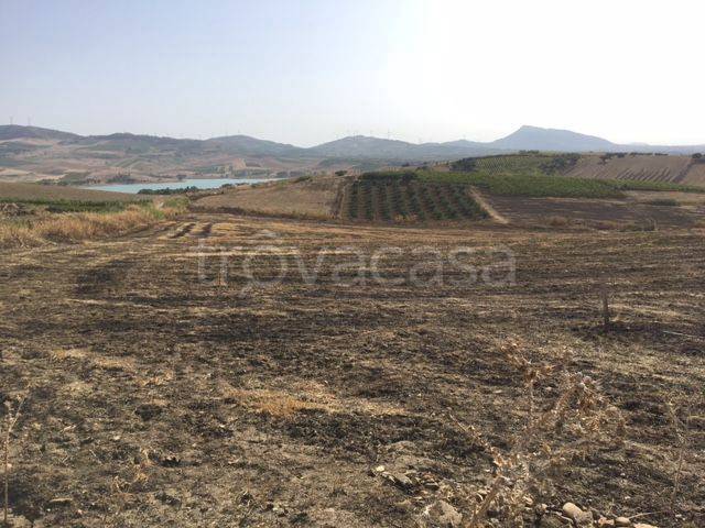 Terreno Agricolo in vendita a Monreale sp2