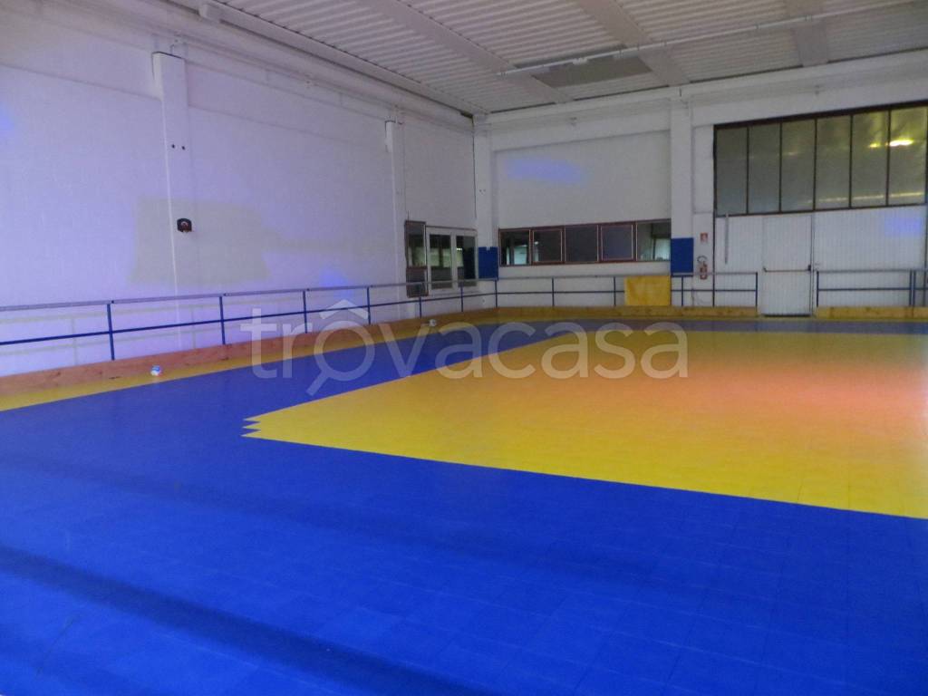 immagine annuncio 3 di 6