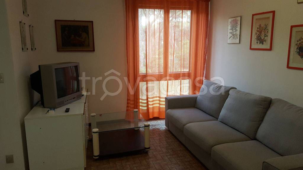 Appartamento in in affitto da privato a Castiglione della Pescaia via Burano, 4