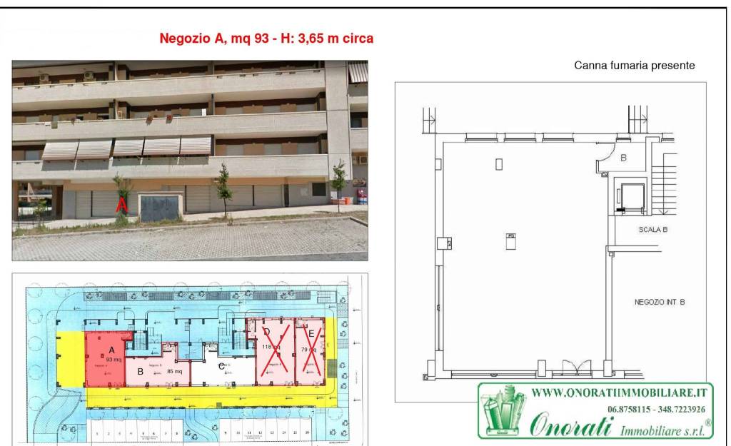 immagine annuncio 3 di 5