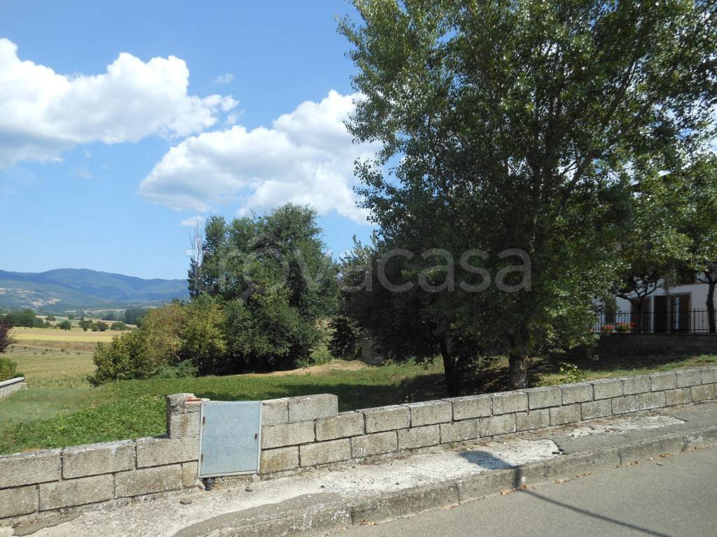 immagine annuncio 4 di 8