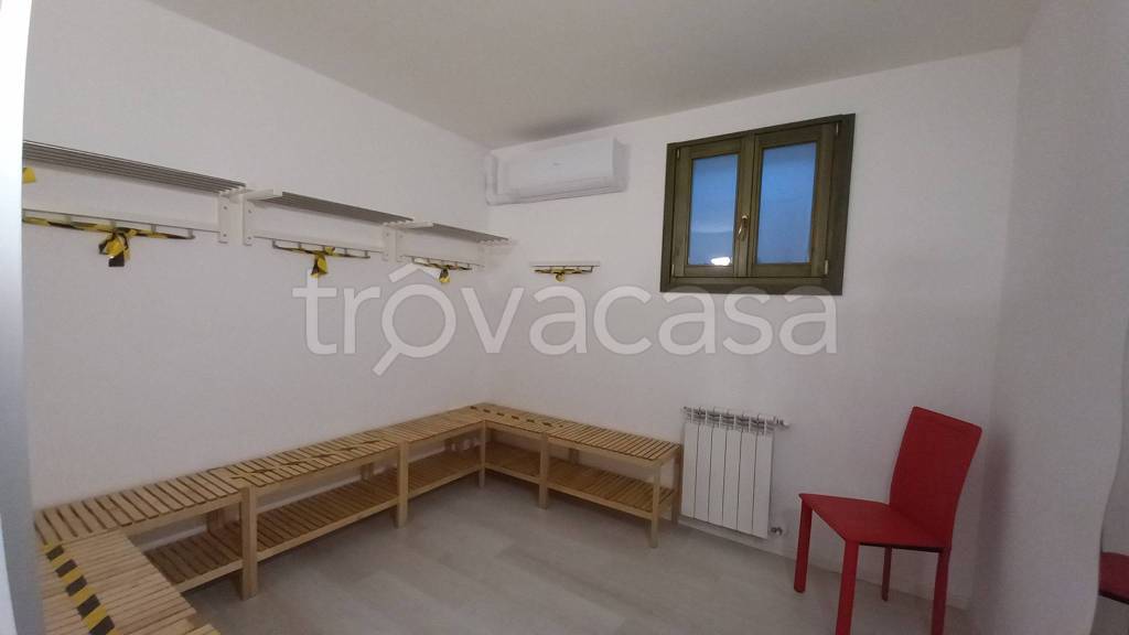 immagine annuncio 11 di 14