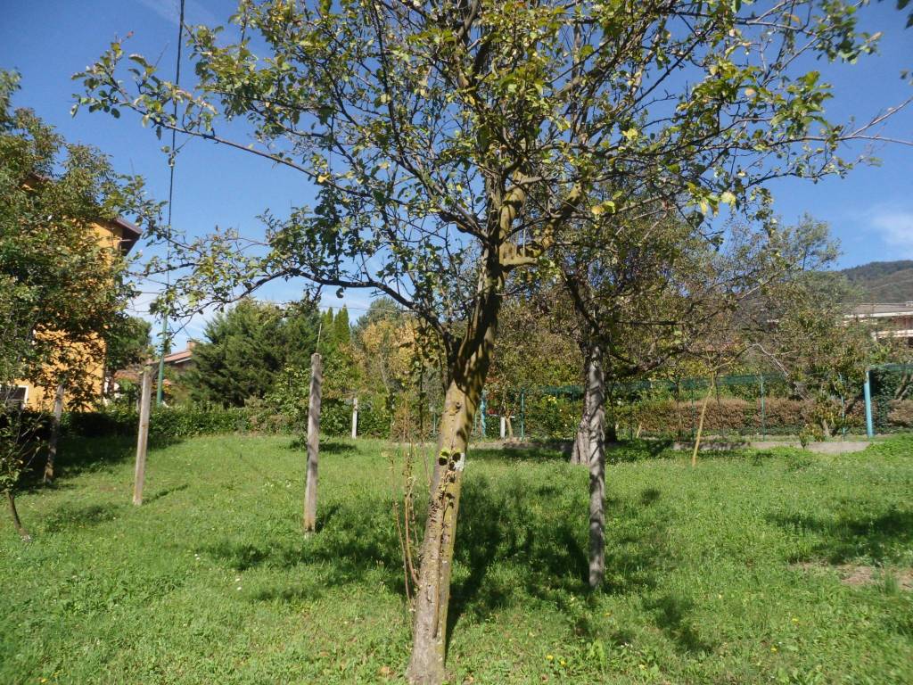immagine annuncio 1 di 4