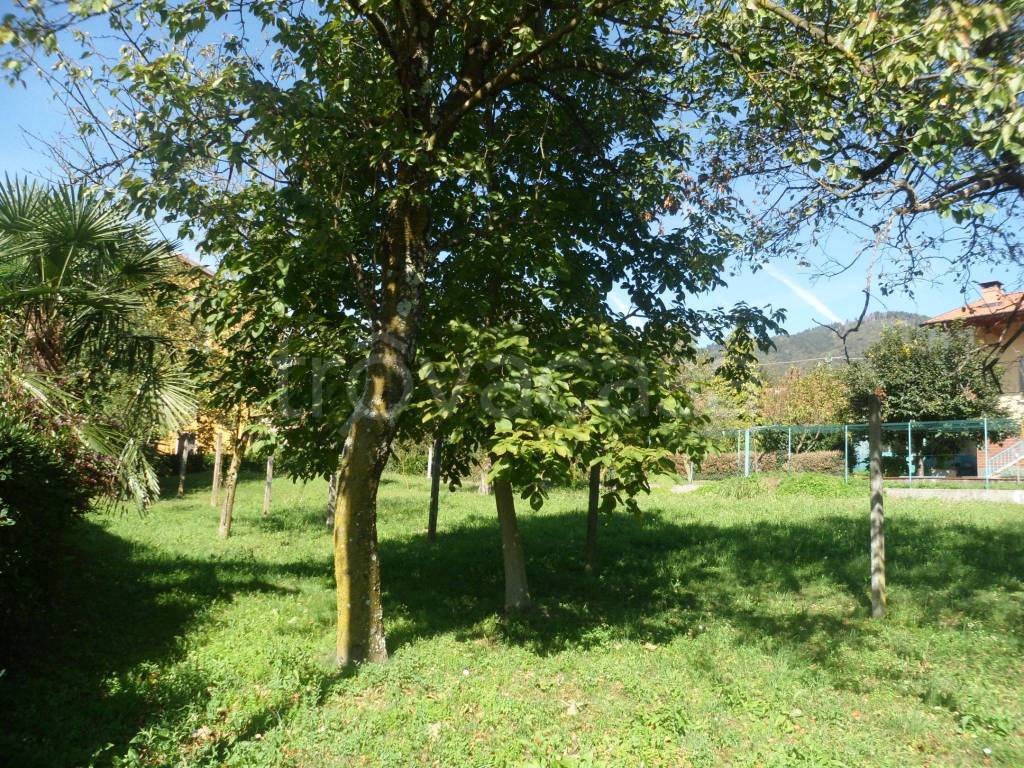 immagine annuncio 3 di 4