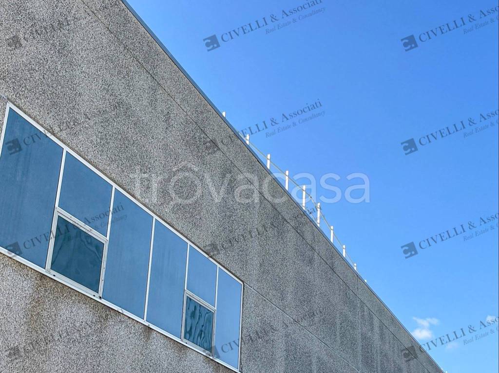 immagine annuncio 14 di 15