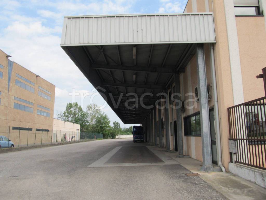 immagine annuncio 11 di 12
