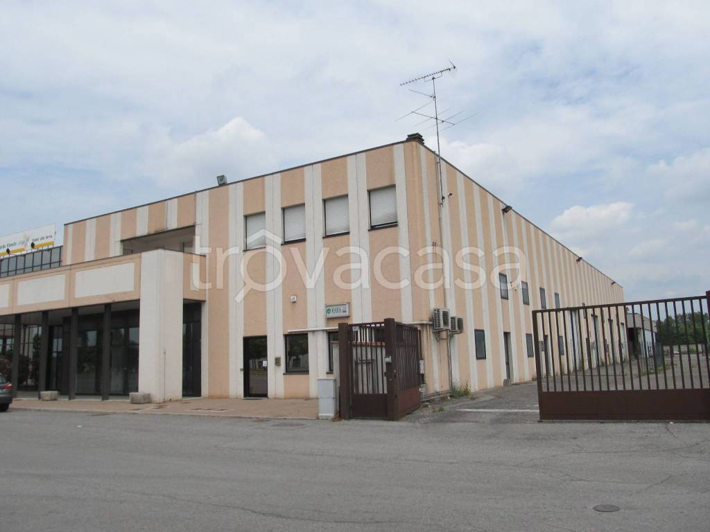 immagine annuncio 3 di 12