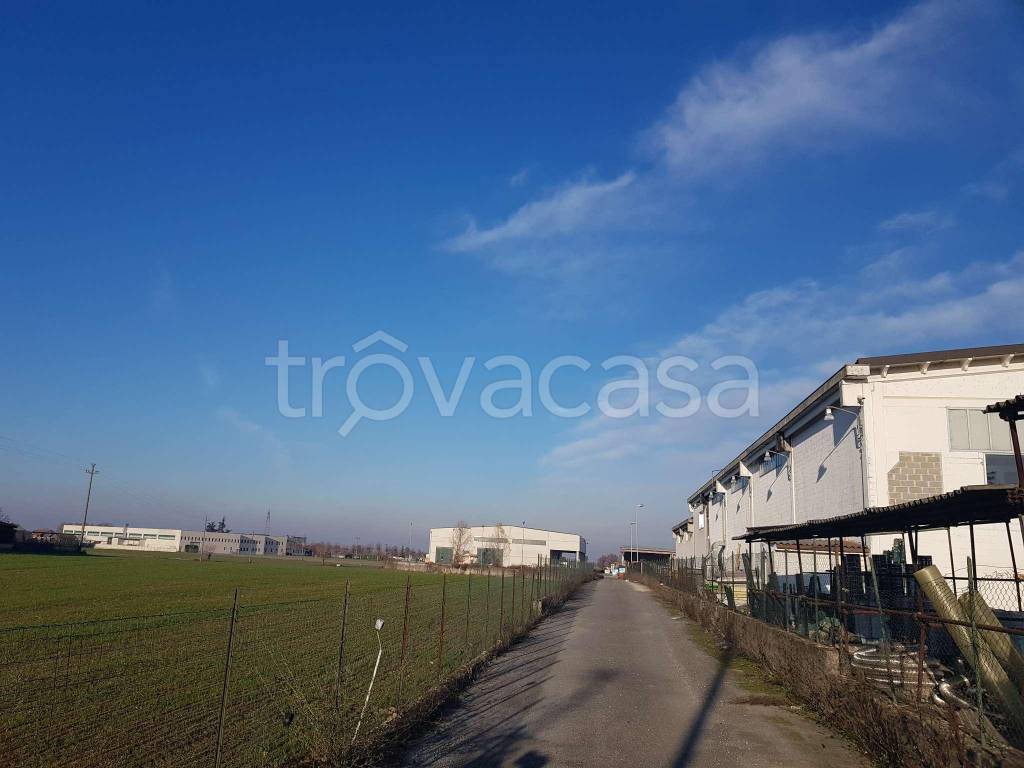 immagine annuncio 5 di 11