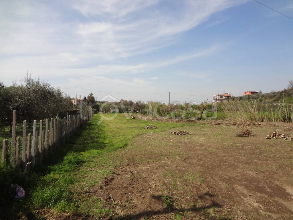 Terreno Agricolo in vendita a Ciampino via dell'Acqua Acetosa