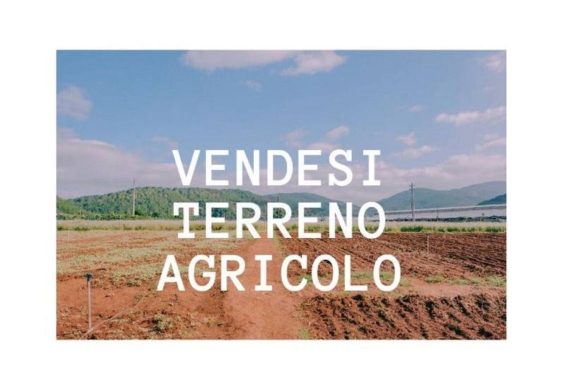 Terreno Agricolo in vendita a Carmagnola via del Porto