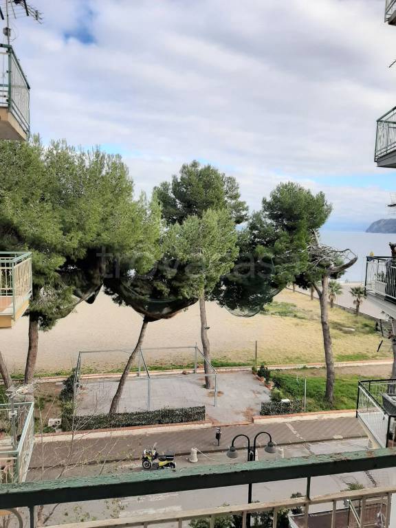 immagine annuncio 10 di 12