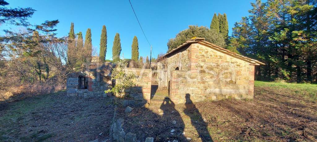 immagine annuncio 5 di 12