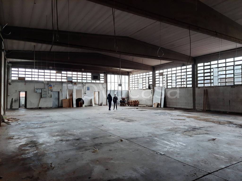 immagine annuncio 9 di 11