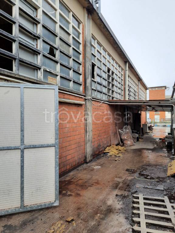 immagine annuncio 4 di 11