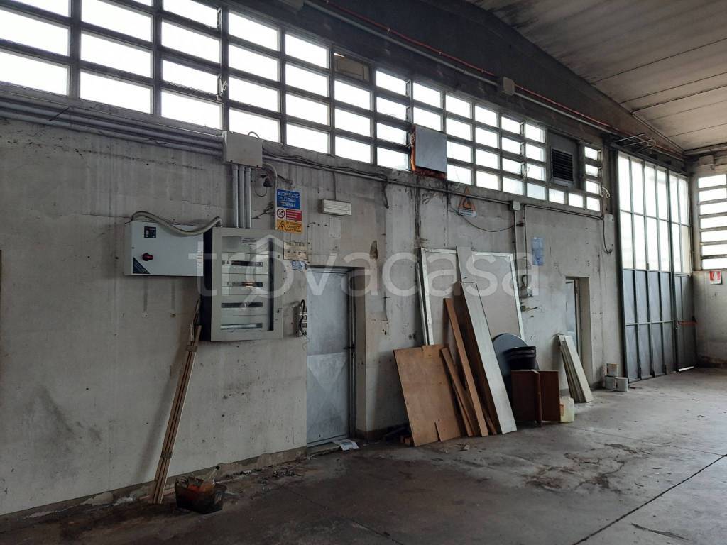 immagine annuncio 6 di 11