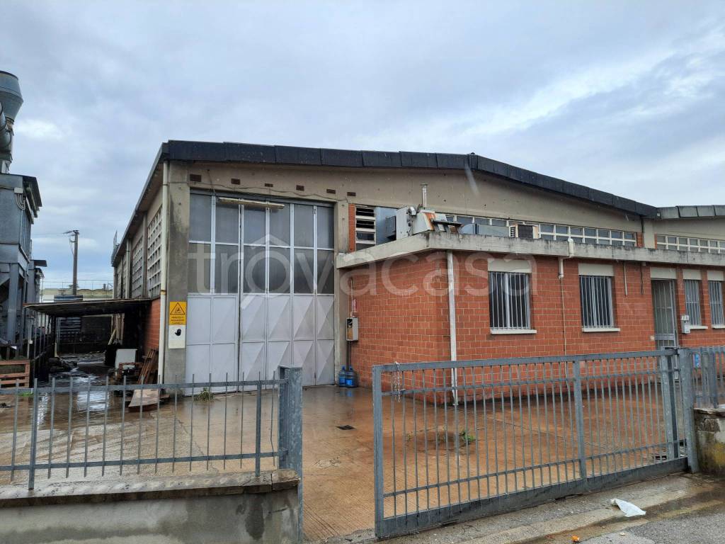 immagine annuncio 3 di 11