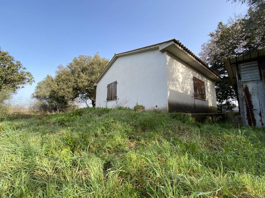 immagine annuncio 2 di 8