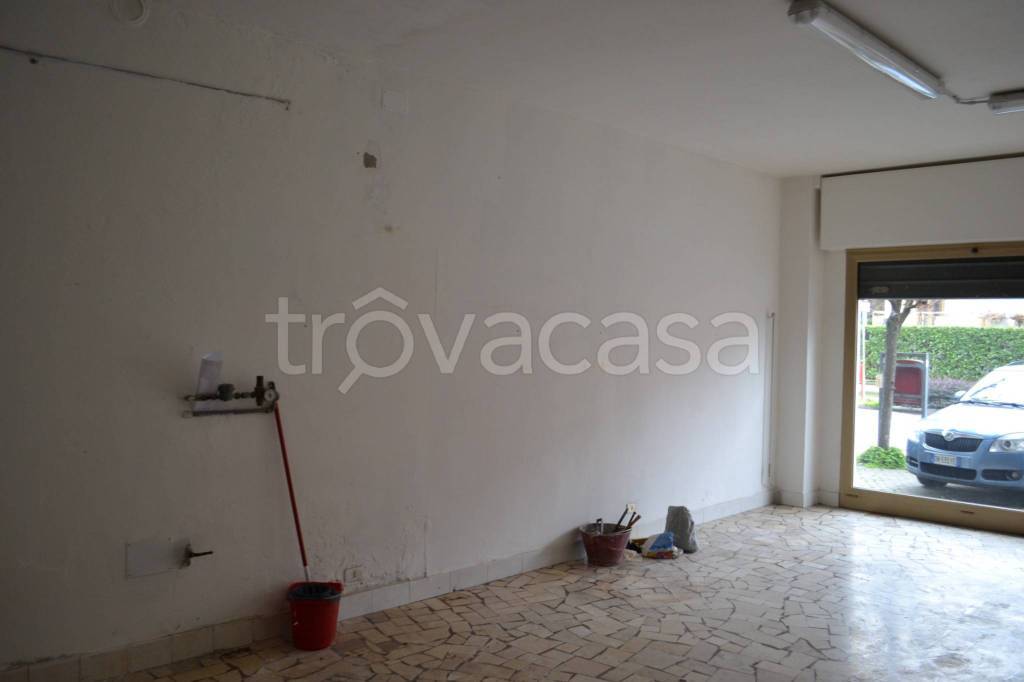 immagine annuncio 3 di 11