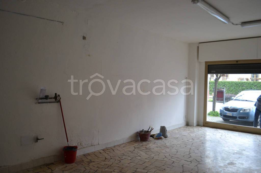 immagine annuncio 8 di 11