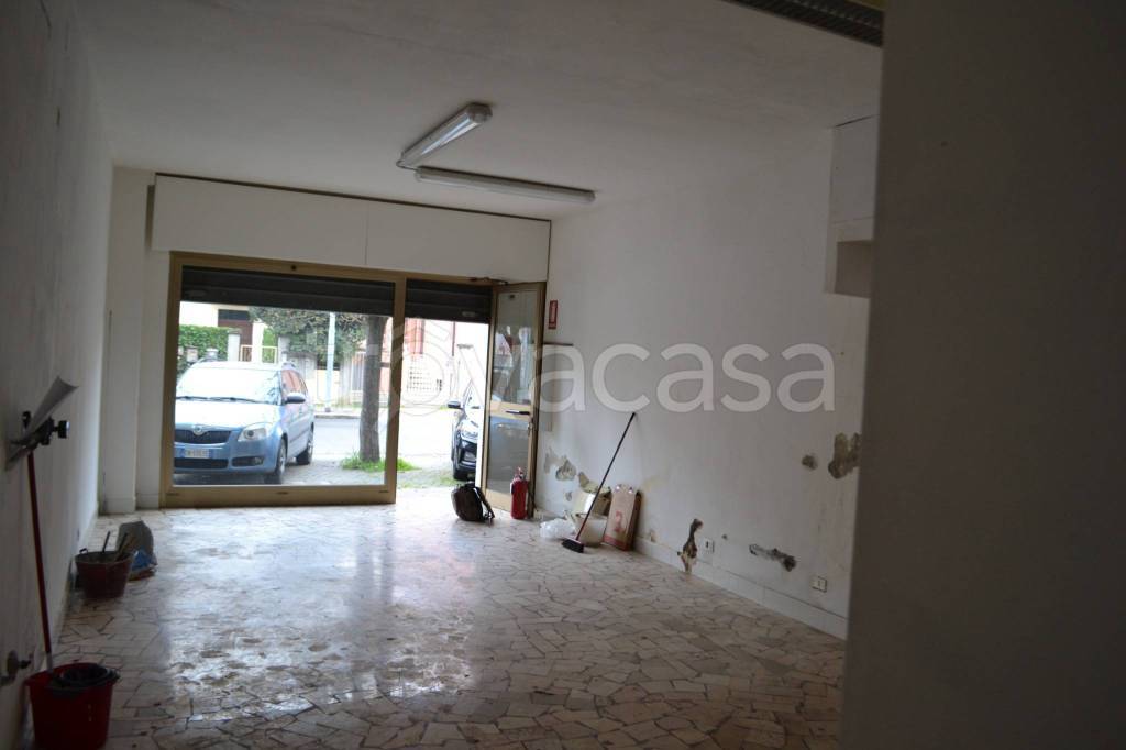 immagine annuncio 10 di 11