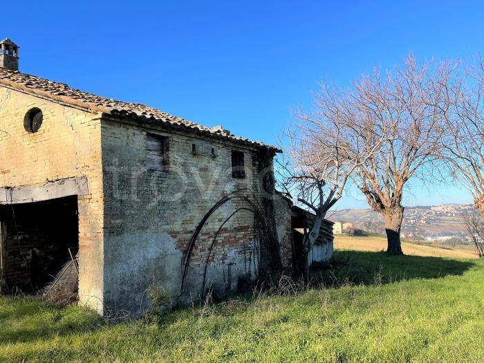 immagine annuncio 3 di 6
