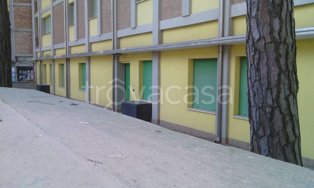 Appartamento in vendita a Comacchio via Po, 4