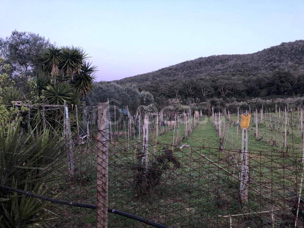 Terreno Agricolo in vendita a Monte Argentario località Mortella