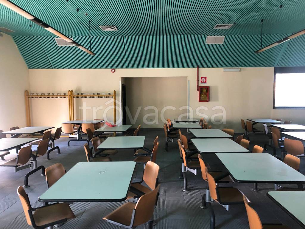 immagine annuncio 4 di 9