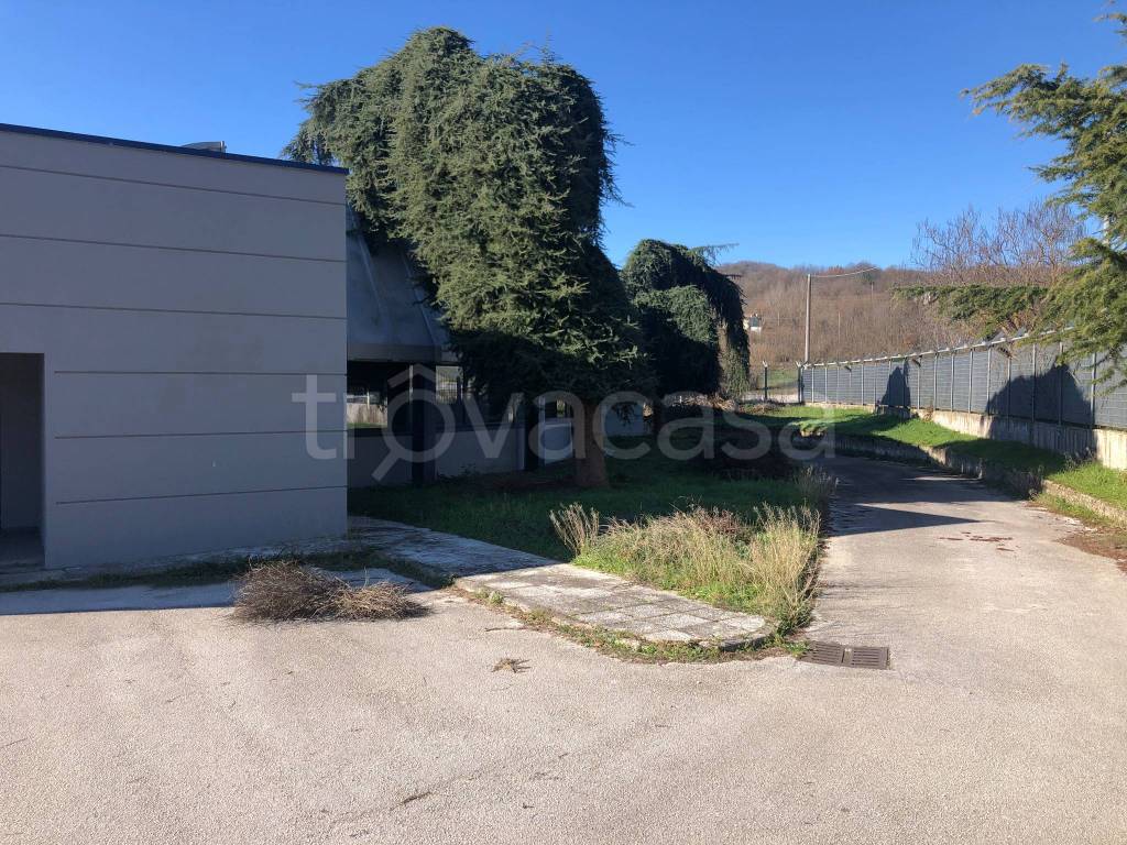 immagine annuncio 7 di 9