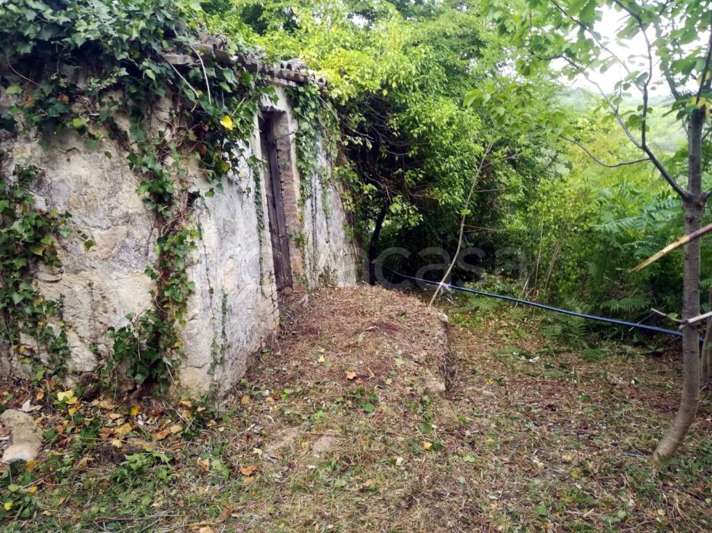 immagine annuncio 2 di 14