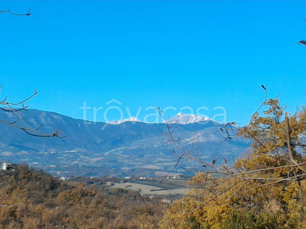 immagine annuncio 11 di 14