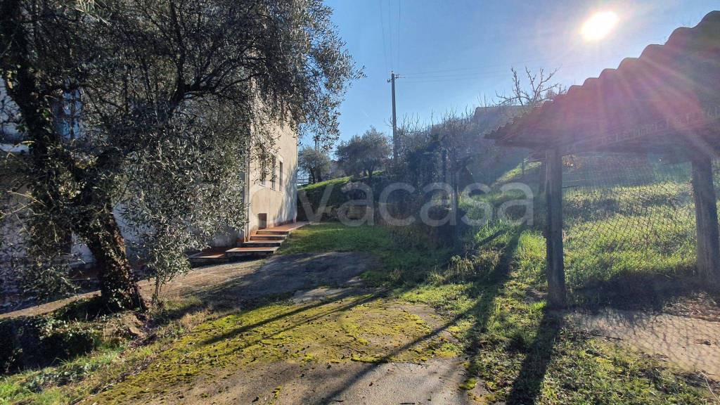immagine annuncio 12 di 13