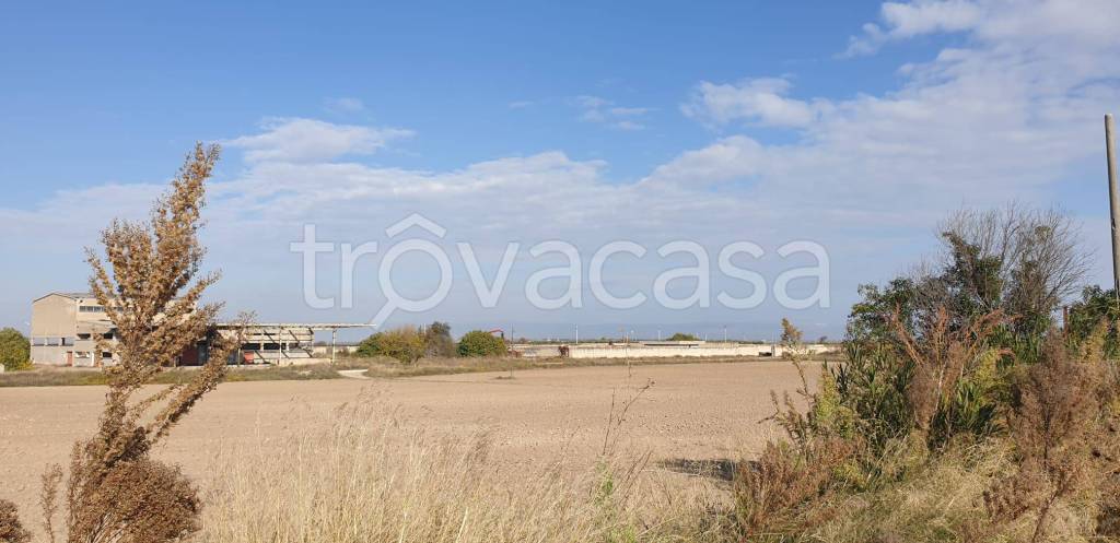 Terreno Agricolo in vendita a Cerignola strada Salpitelli e Tondi