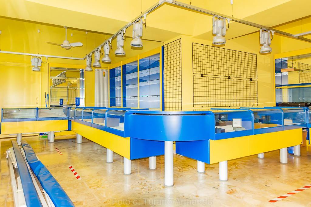 immagine annuncio 3 di 13