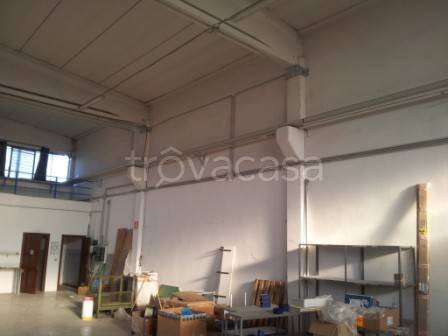 immagine annuncio 2 di 9