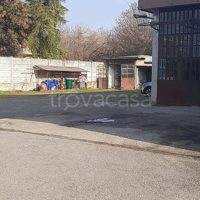 immagine annuncio 12 di 15