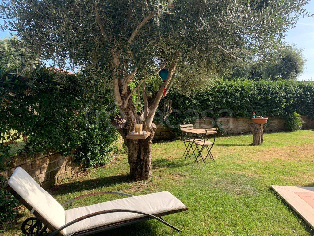 immagine annuncio 11 di 13