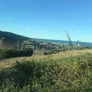 Terreno Agricolo in vendita a Porto San Giorgio via Valle Oscura