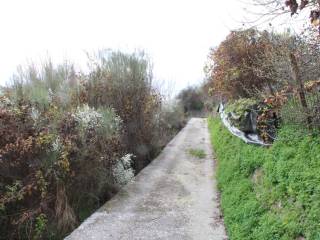 Terreno agricolo in vendita a ospedaletti 