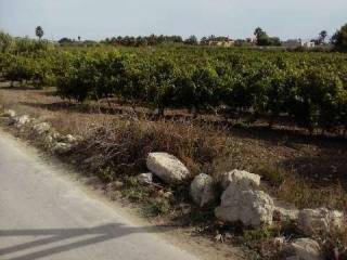 Terreno agricolo in vendita a marsala c.da giunchi