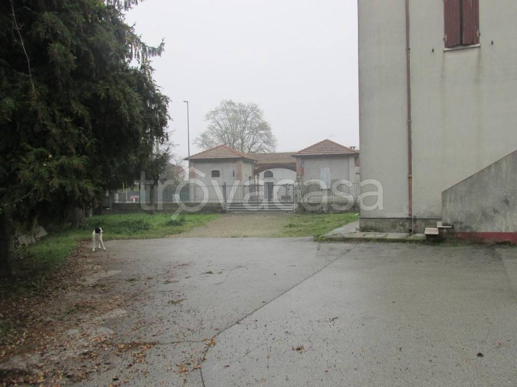 immagine annuncio 3 di 11