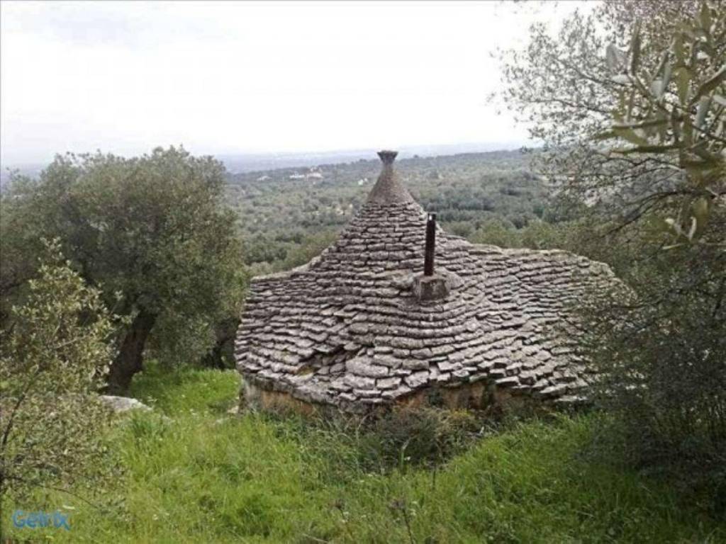 immagine annuncio 5 di 14