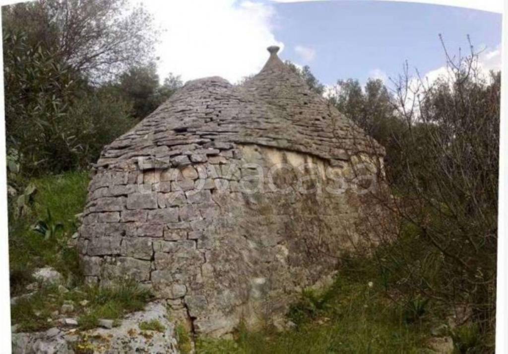 immagine annuncio 9 di 14