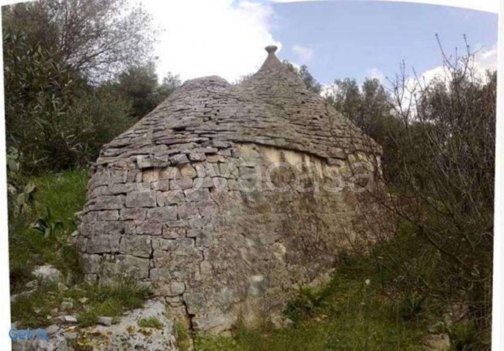 immagine annuncio 6 di 14