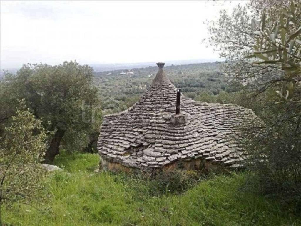 immagine annuncio 13 di 14