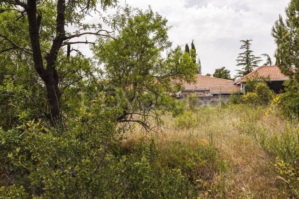 Terreno Residenziale in vendita a Pedara corso Ara di Giove s.n.c
