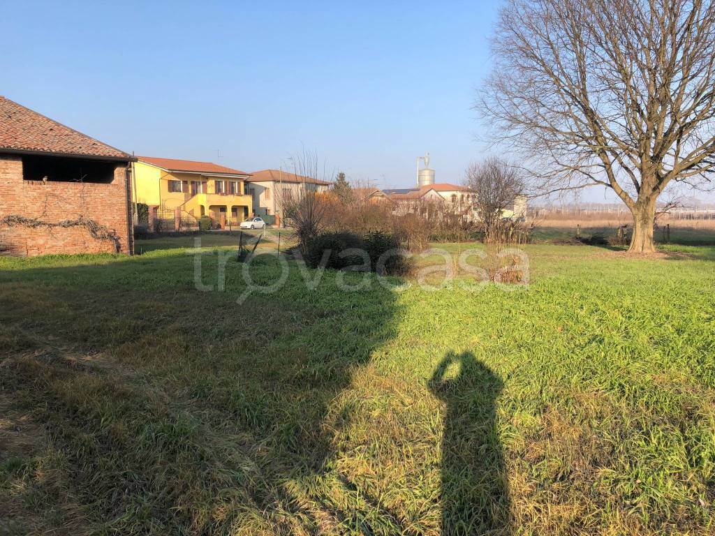 immagine annuncio 5 di 9